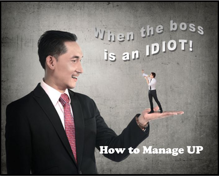 When the Boss is an IDIOT!